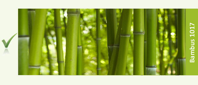 Küchenrückwand Motiv: Bambus Gras 1017