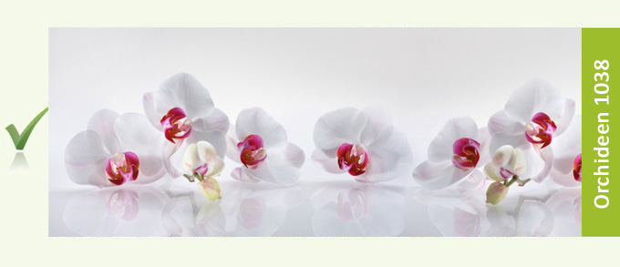 Küchenrückwand Motiv: Orchideen Blüten 1038