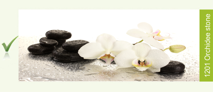 Küchenrückwand Motiv: Orchidee Stone - Orchidee Steine schwarz 1201 